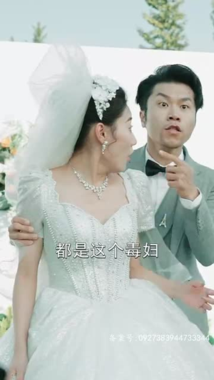 追龙之罪与罚(100集) 追龙之罪与罚(100集)精彩短剧合集