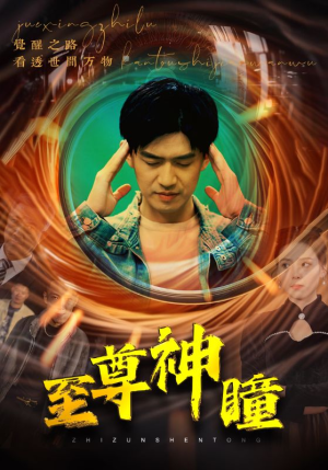 至尊神瞳（96集）在线免费观影