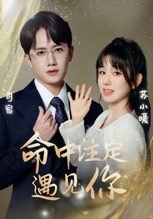 命中注定遇见你(96集) 命中注定遇见你(96集)热门短剧免费看