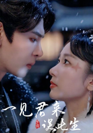 一见君来误此生(95集) 一见君来误此生(95集)最热门短剧来了