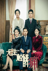 无法触碰的痛(80集) 无法触碰的痛(80集)大结局太过瘾了