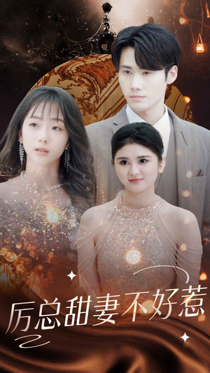 历总前妻不好惹(75集) 历总前妻不好惹(75集)高清画质免费看