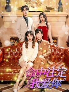 命中注定我爱你(99集) 命中注定我爱你(99集)大结局
