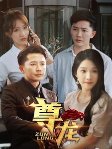 新版:尊龙(97集) 新版:尊龙(97集)追风的女孩短剧