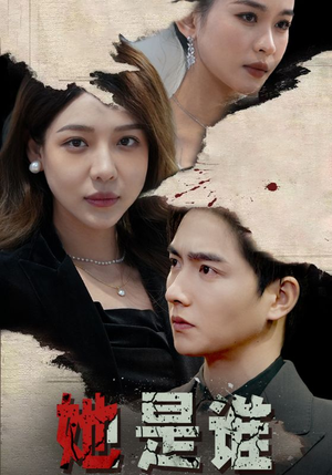 她是谁(79集) 她是谁(79集)观看软件