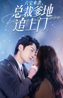 六宝来袭总裁爹地追上门(79集) 六宝来袭总裁爹地追上门(79集)免费短剧资源
