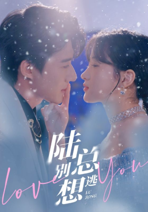 陆总别想逃(80集) 陆总别想逃(80集)热播短剧分享