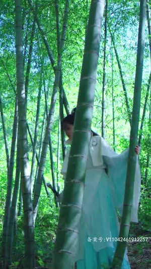 毒王千金(70集) 毒王千金(70集)在哪个平台能看