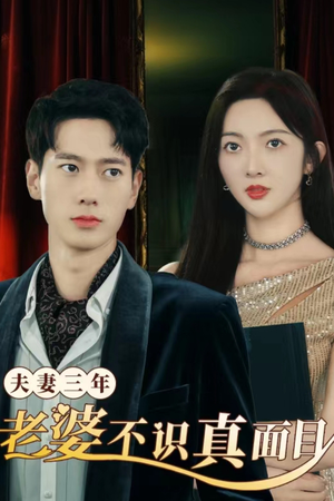 夫妻三年老婆不识真面目(83集) 夫妻三年老婆不识真面目(83集)真的太精彩了