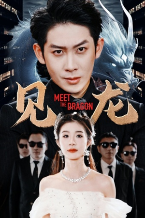 见龙(78集) 见龙(78集)无需会员轻松看