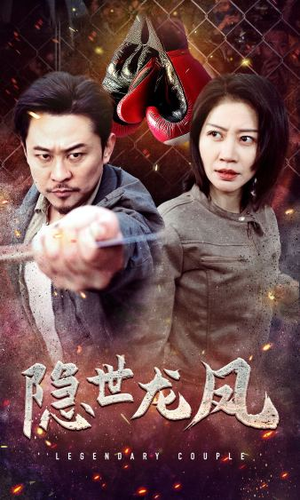 隐世龙凤（63集）全集都在这里了