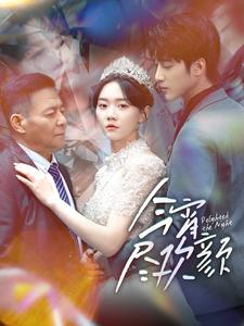 今宵尽欢颜(99集) 今宵尽欢颜(99集)爆火短剧推荐