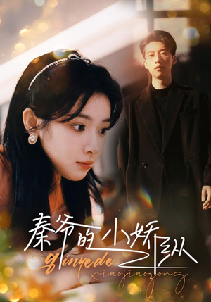 秦爷的小娇纵(96集) 秦爷的小娇纵(96集)在线看免费版