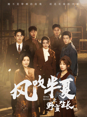 风吹半夏之野蛮生长(59集) 风吹半夏之野蛮生长(59集)最新热剧免费看