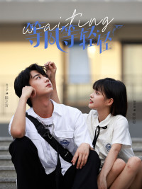 等风等轻轻(24集) 等风等轻轻(24集)视频在线看