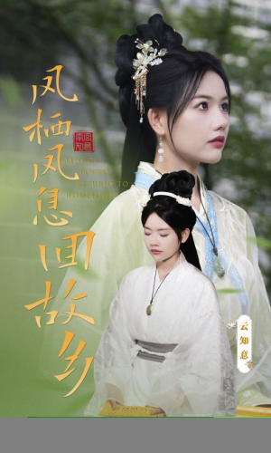 凤栖凤息回故乡(36集) 凤栖凤息回故乡(36集)独家短剧免费看