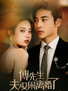 傅先生夫人又闹离婚了(80集) 傅先生夫人又闹离婚了(80集)真的好看吗