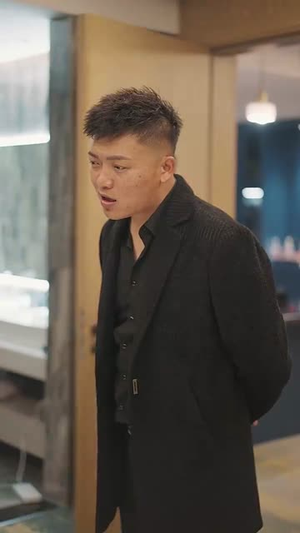 风云（56集）短剧推荐上热门