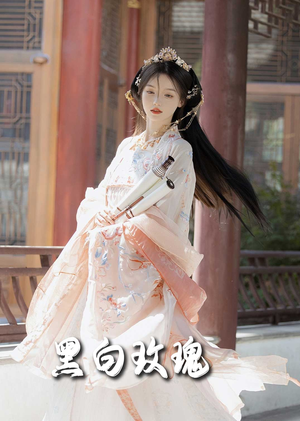 黑白玫瑰(66集) 黑白玫瑰(66集)第二季