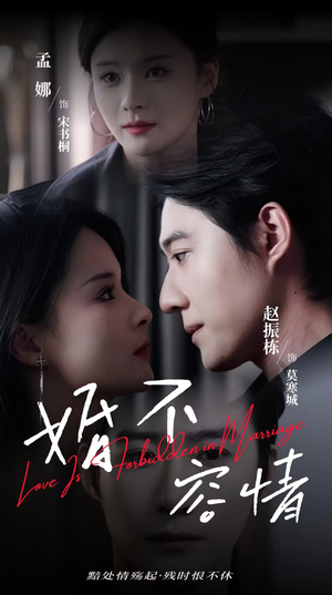婚不容情(89集) 婚不容情(89集)短剧解说热门