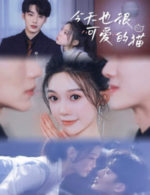 今天也很可爱的猫(72集) 今天也很可爱的猫(72集)推荐你们也去看