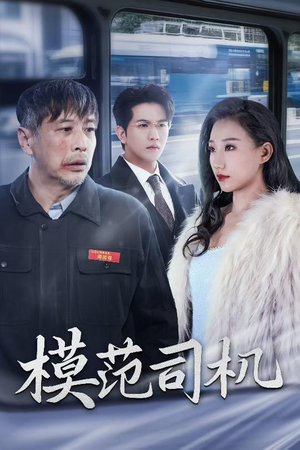 模范司机（30集）最新热播短剧