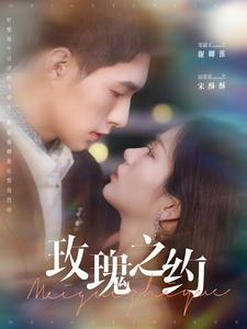 玫瑰之约(95集) 玫瑰之约(95集)大结局完美收官