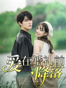 爱在婚礼前降落(50集) 爱在婚礼前降落(50集)民国短剧推荐