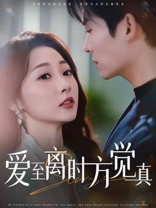 爱至离时方觉真(101集) 爱至离时方觉真(101集)在线观看