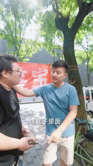 鉴宝龙婿(80集) 鉴宝龙婿(80集)爆火短剧抢先看