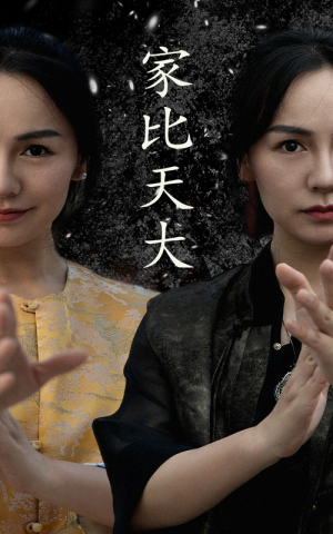 家比天大(63集) 家比天大(63集)短剧解说热门