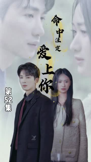 命中注定爱上你(96集) 命中注定爱上你(96集)大结局太过瘾了