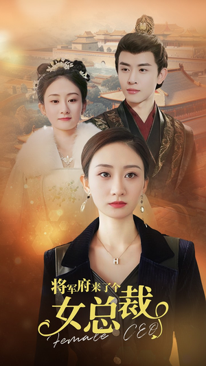 将军府来了个女总裁(88集) 将军府来了个女总裁(88集)高清画质免费看