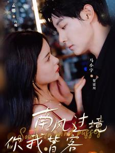 南风国境你我皆客(80集) 南风国境你我皆客(80集)好看短剧看不停