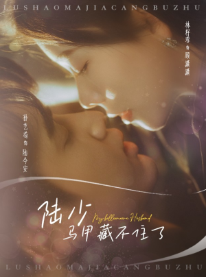 陆少马甲藏不住了(63集) 陆少马甲藏不住了(63集)大结局一气呵成