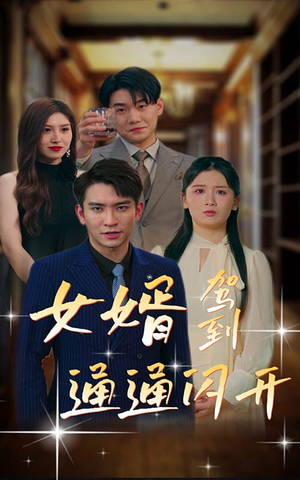 女婿驾到,通通闪开(34集) 女婿驾到,通通闪开(34集)一口气看完全集