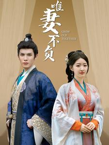 唯妻不负(80集) 唯妻不负(80集)免费在线看全集