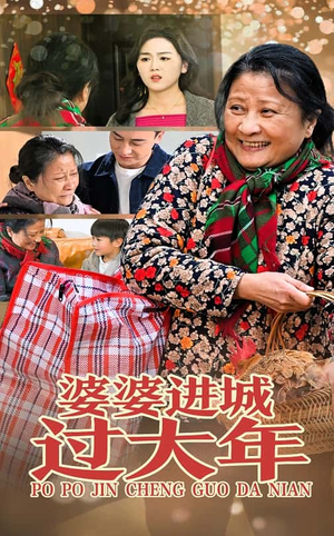 婆婆进城过大年(33集) 婆婆进城过大年(33集)在哪看