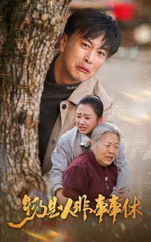 物是人非事事休(41集) 物是人非事事休(41集)短剧全集免费看