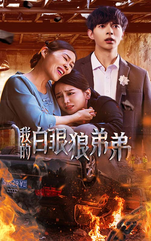 我的白眼狼弟弟(69集) 我的白眼狼弟弟(69集)免费短剧大全