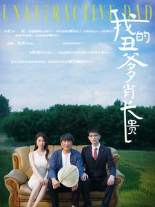 我的丑爹肖长贵(96集) 我的丑爹肖长贵(96集)在哪看