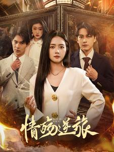 情殇逆旅(90集) 情殇逆旅(90集)追短剧关注我