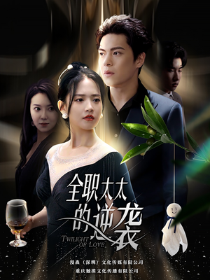 全职太太的逆袭(80集) 全职太太的逆袭(80集)我真的爱了