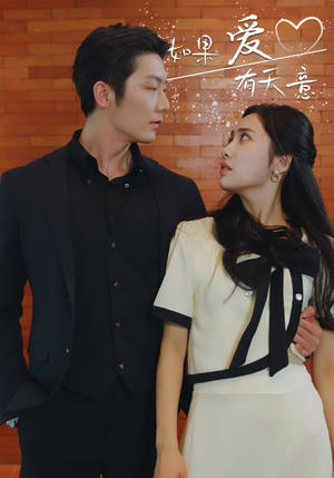 如果爱有天意(80集) 如果爱有天意(80集)最新短剧抢先看