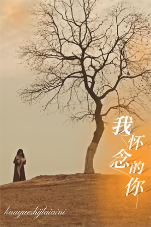 我怀念的你(38集) 我怀念的你(38集)最后的大结局