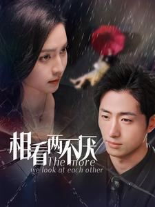 相看两不厌(80集) 相看两不厌(80集)解说文案