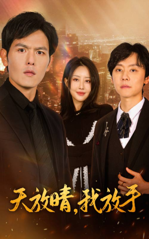 天放晴,我放手(35集) 天放晴,我放手(35集)好看的短剧推荐