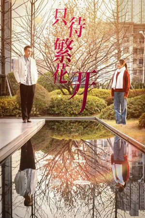 只待繁花开(35集) 只待繁花开(35集)集免费看短剧