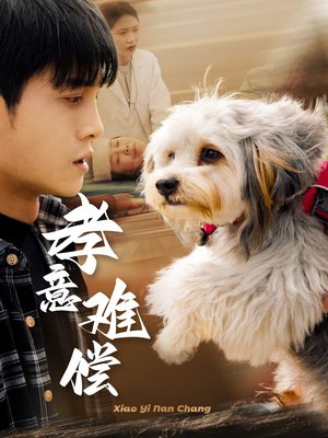 孝意难偿(32集) 孝意难偿(32集)好看的短剧