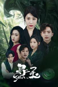 寻玉(77集) 寻玉(77集)在线观看完整版